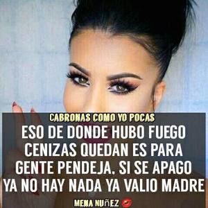 Meet your Posher, Guaperris de manuel